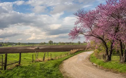 Early spring Kansas prairie and small-town edge after rain, with fresh grass, budding trees, a farm field, and a broad Kansas sky.