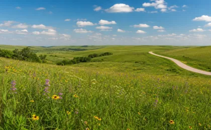 Late spring Kansas prairie with green Flint Hills grass, scattered wildflowers, and a quiet rural road under a broad sky.