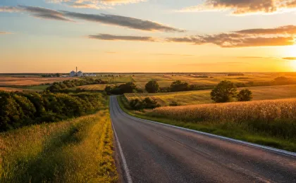 Late-summer Kansas rural road through green and golden crop fields at sunset.